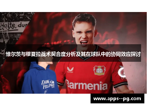 维尔茨与穆夏拉战术契合度分析及其在球队中的协同效应探讨