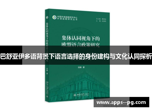 巴舒亚伊多语背景下语言选择的身份建构与文化认同探析 巴舒亚伊多语背景下语言选择的身份建构与文化认同探析