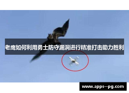 老鹰如何利用勇士防守漏洞进行精准打击助力胜利