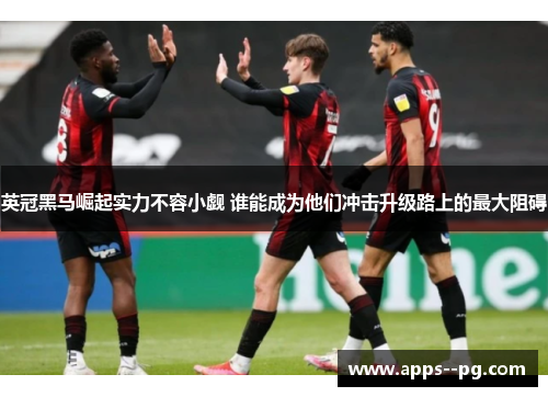 英冠黑马崛起实力不容小觑 谁能成为他们冲击升级路上的最大阻碍 英冠黑马崛起实力不容小觑 谁能成为他们冲击升级路上的最大阻碍
