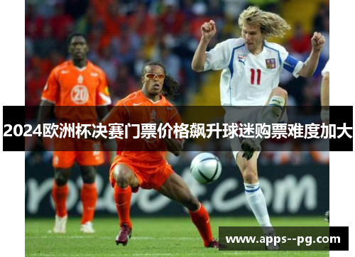 2024欧洲杯决赛门票价格飙升球迷购票难度加大